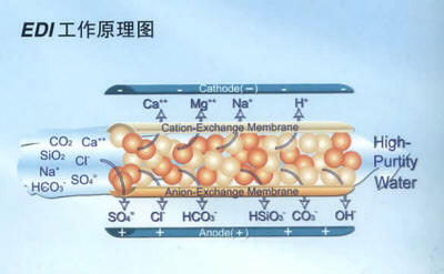 电除盐EDI设备